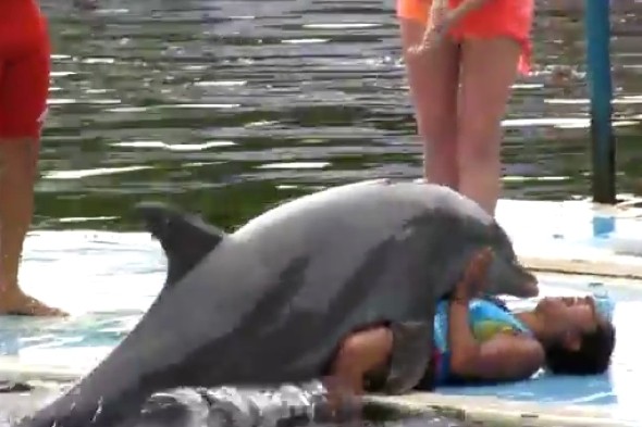 Dolphins Having Sex With Humans 22
