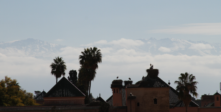 Standing guard over Palais Badia with the Atlas Mountains looming in the background