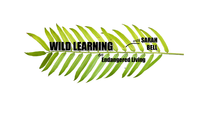 Wild Learning